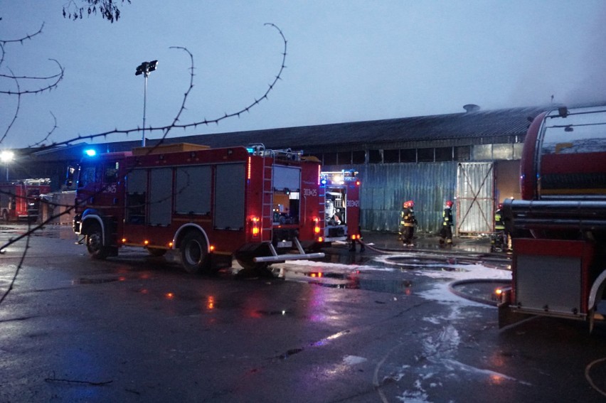 Pożar hali produkcyjnej na Tuwima w Łodzi [FOTO, FILM]