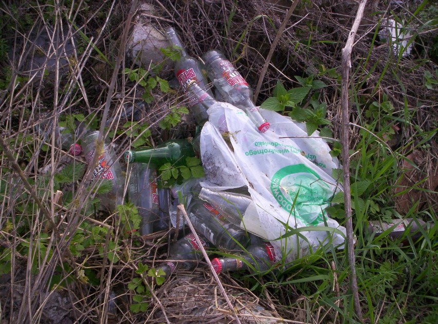 Ul. Świetlista: Dzikie wysypisko śmieci do szybkiego usunięcia