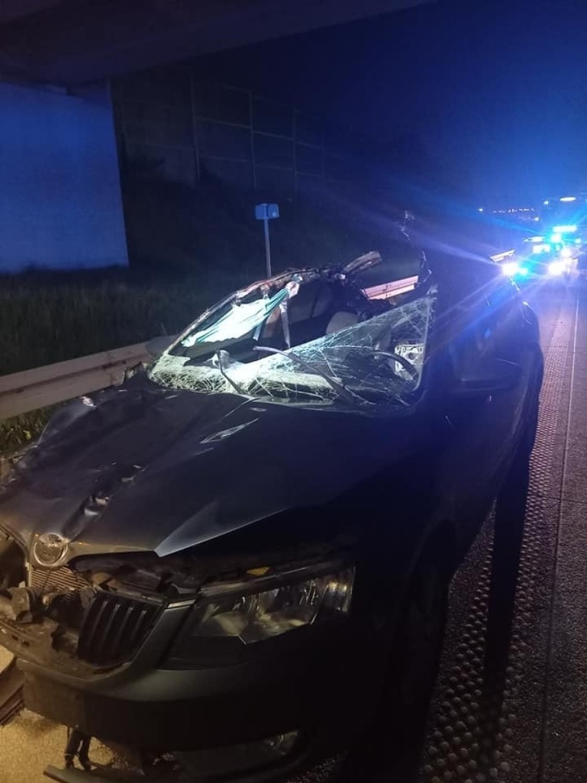 Śmiertelny wypadek na autostradzie A1. W zderzeniu z łosiem zginął pasażer samochodu osobowego ZDJĘCIA
