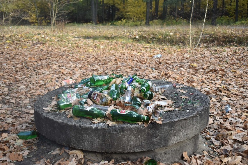 Śmieci w lesie przy ulicy Armii Krajowej w Olkuszu