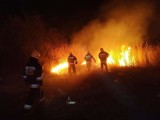 Wielki pożar trzcinowisk na półwyspie Potrzymiech [zdjęcia]