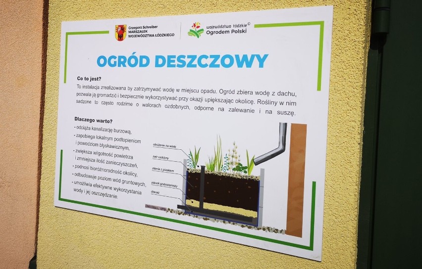 Ogród deszczowy w Wieluniu. Ekologiczna instalacja powstała w Zespole Szkół nr 1