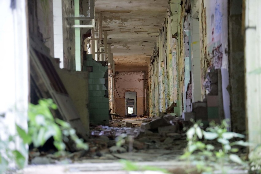 Posowiecki szpital w legnickim Lasku Złotoryjskim to już ruina, zobaczcie aktualne zdjęcia
