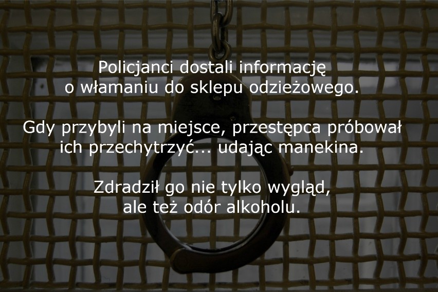 Najgłupsi przestępcy z Wielkopolski