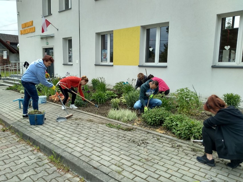 Sąsiedzkie ogrody w Brzeszczach. Mieszkańcy połączyli siły, by wspólnie upiększyć place i ulice w swojej gminie [ZDJĘCIA]