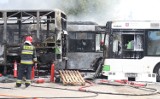 Bilans pożaru w bazie PKS w Szczecinie. Ile spłonęło autobusów? Będą problemy w komunikacji miejskiej? [ZDJĘCIA, WIDEO] 