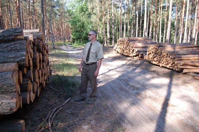 W związku z kradzieżami zwiększyliśmy nadzór &#8211; informuje  Jacek Szymków z Nadleśnictwa Wolsztyn.