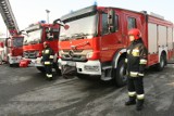 Widowiskowa akcja strażaków w Krynicy. Uratowali kota z fasady hotelu