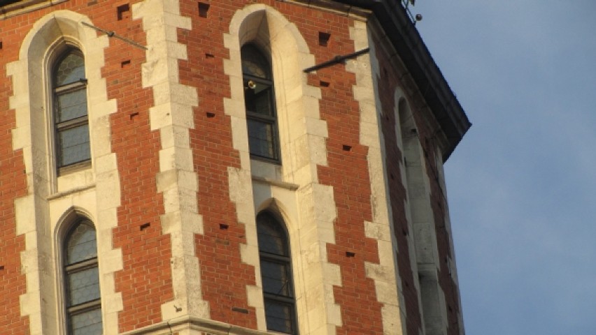 Wieża kościoła Mariackiego - w oknie trębacz gra hejnał