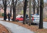 Wypadek na ul. Lotników, samochód wjechał w drzewo (ZDJĘCIA)