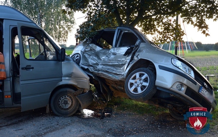 Wypadek drogowy pod Łowiczem. Dwie osoby zostały ranne [ZDJĘCIA]