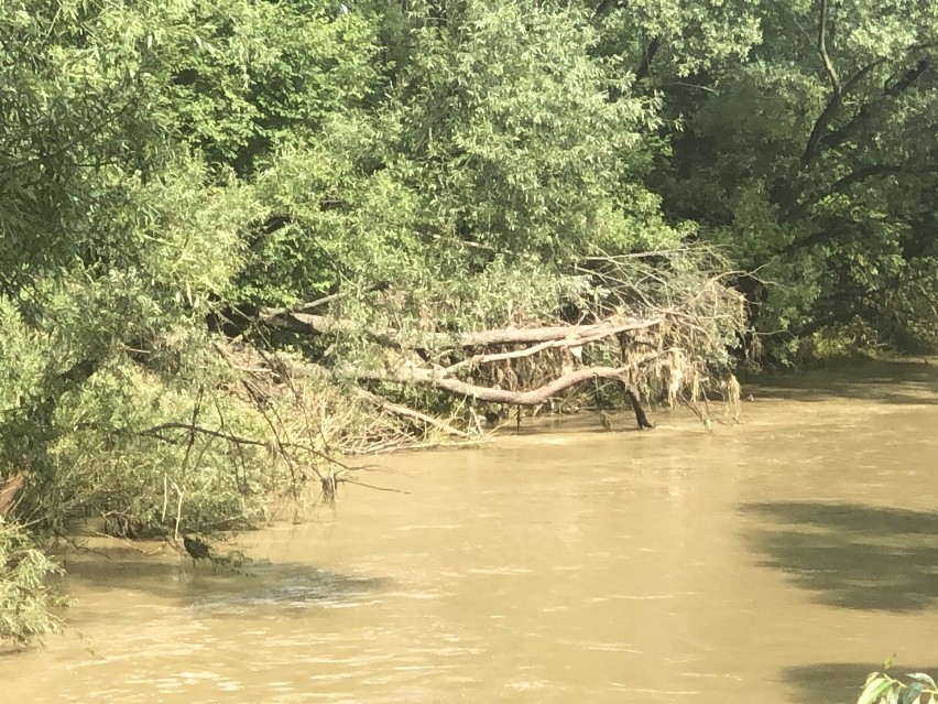 Trwa usuwanie skutków ulew w Krośnie i powiecie krośnieńskim [ZDJĘCIA]