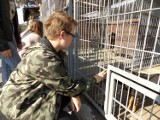 Schronisko w Jastrzębiu: uczniowie i nauczyciele z Gogołowej przekazali ponad 200 km karmy dla psiaków! [ZOBACZ ZDJĘCIA]