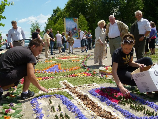 Spycimierzanie tkanie kwietnego kobierca na trasie Bożego Ciała, która mierzy prawie 2 km, rozpoczęli wczesnym rankiem