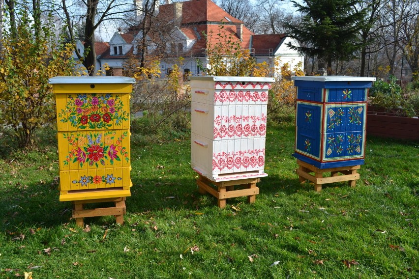 Rzuchowa. Nawet mieszkając w mieście będzie można opiekować się pszczołami. Pierwsze społeczne ule już gotowe