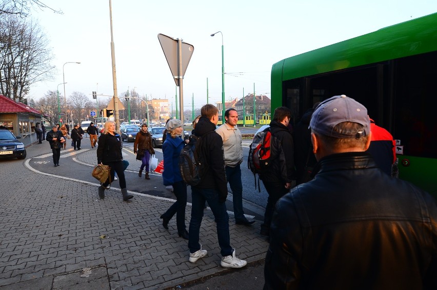 MPK Poznań: Będzie więcej autobusów linii T1 na Junikowo