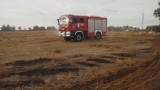 Osiem zastępów Straży Pożarnej gasiło pożar zboża na pniu w Nowych Miniętach
