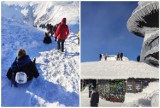 Śnieżka w zimowej szacie i bezmyślni turyści zdobywający szczyt. Te zachowania wprawiają w osłupienie