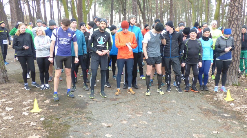 Parkrun Bydgoszcz. Doskonały czas zwycięzcy! [zdjęcia, wideo, wyniki]