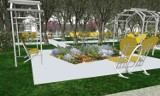 Dwa nowe parki kieszonkowe mogą powstać w Czeladzi. Jeden może się pojawić przy reprezentacyjnej Alei Rodów Czeladzkich  