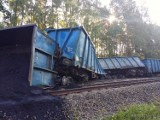 Wypadek pociągu na trasie Opole - Tarnów Opolski. Pociągi wróciły na trasę