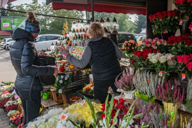 Na stoiskach przy cmentarzach królują wrzosy i dąbki, przede wszystkim rośliny doniczkowe. 

Zobacz, co można kupić przy poznańskich cmentarzach --->