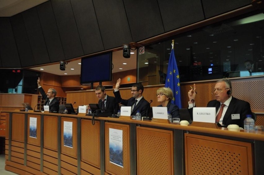 Strategia dla Karpat w Parlamencie Europejskim