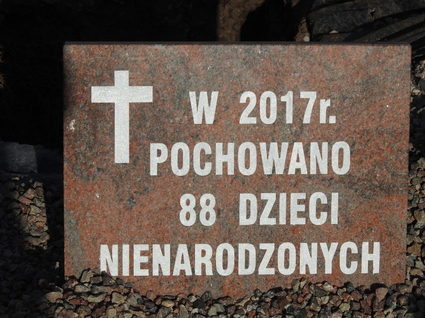 Pogrzeb dzieci zmarłych przed narodzeniem w Suwałkach. Ciała złożono do wspólnego grobu [Zdjęcia]