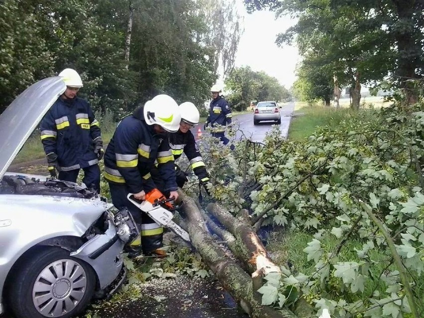 OSP Kłodawa: Drzewo spadło na samochód