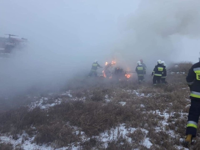 Od początku roku lubuscy strażacy 40 razy wyjeżdżali do...