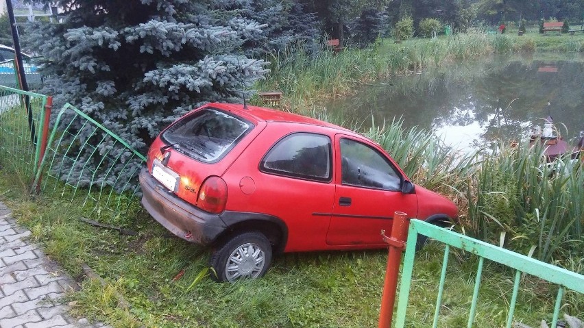 Michorzewo: Auto wjechało do stawu