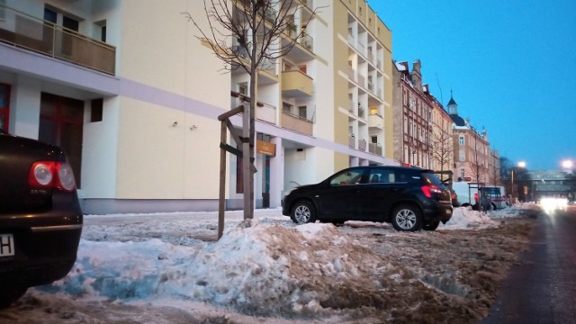 Opole. Mieszkańcy wciąż pomstują na nieodśnieżone chodniki. Pytają też co z przydrożnymi drzewami, na które spychany jest śnieg