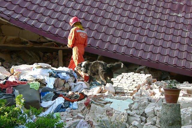 Po wybuchu gazu zawalił się dom jednorodzinny w Chechle Drugim