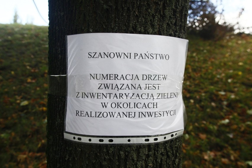 Przy alei Śmigłego-Rydza wykonawca ponumerował drzewa, ale...