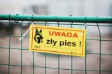 Wracamy do tematu. Pies atakował na terenie ROD „Nad Brdą” przy ul. Żeglarskiej w Bydgoszczy. Policja prowadzi postępowanie