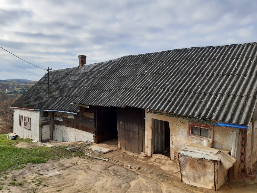 Bochnia-Brzesko. Szlachetna Paczka przekazała paczki z pomocą 58 rodzinom w potrzebie [ZDJĘCIA]