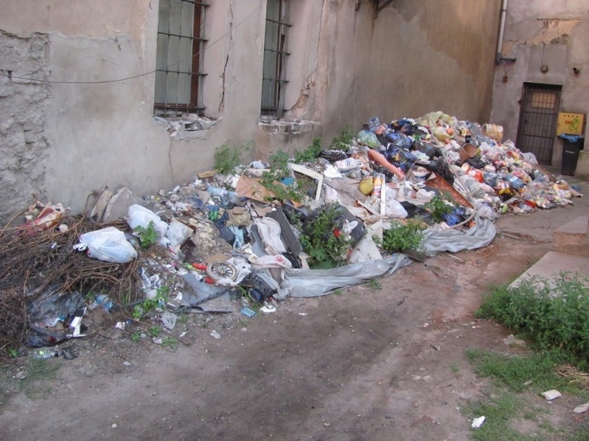 Po interwencji Straży Miejskiej uprzątnięto hałdę śmieci