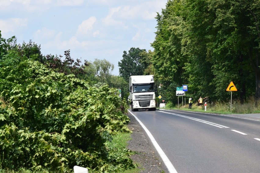 Między Wieluniem i Gaszynem tną drzewa pod szlak pieszo-rowerowy. Gmina planuje dobudować brakujące 300 metrów infrastruktury ZDJĘCIA