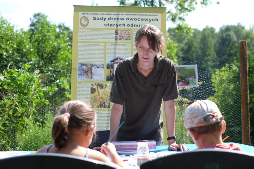 Nowe Zoo w Poznaniu działa a domki dla pszczół powstają przy Motylarni