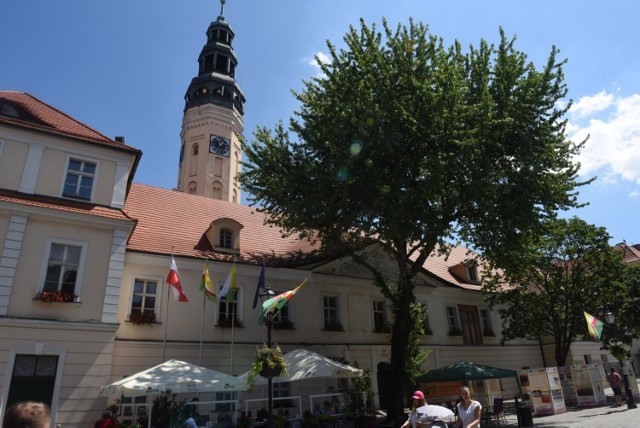 Weekendowe propozycje w Zielonej Górze to potańcówka przy muzyce na żywo, historyczny spacer do początków miasta lub spacer lokalnymi dróżkami wśród pięknej, czerwcowej przyrody