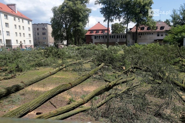 Wycinka drzew na ul. Ojca Beyzyma w Szczecinie