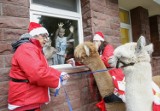 Święty Mikołaj nie zapomniał o małych pacjentach z lubelskiego szpitala. Oni również obchodzili Mikołajki! Zobacz zdjęcia
