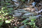 Dzikie wysypisko śmieci w Legnicy, tuż obok Zabytkowego Parku, zobaczcie zdjęcia