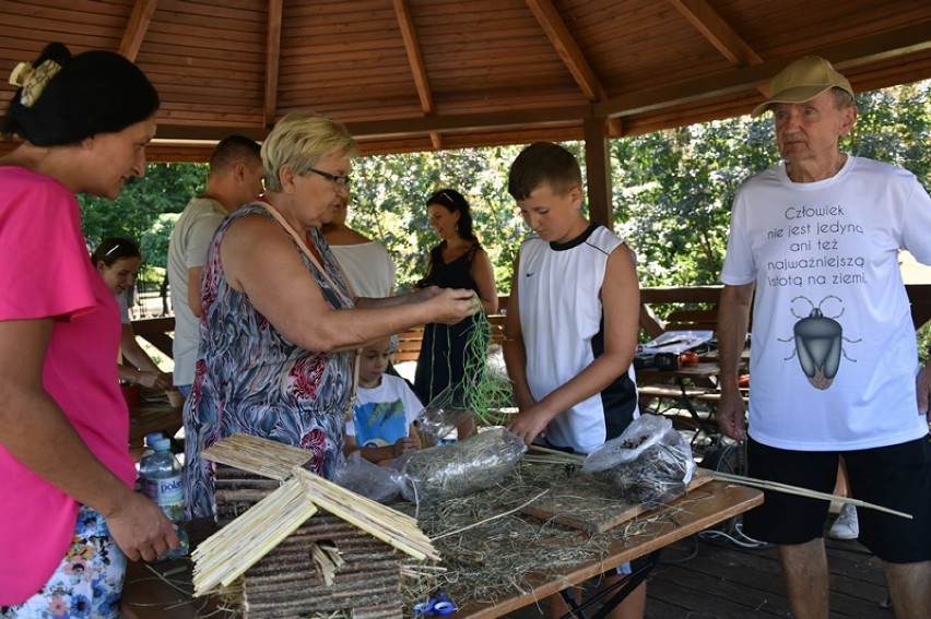 Budowali zimowe schronienia dla owadów w Legnicy [ZDJĘCIA]