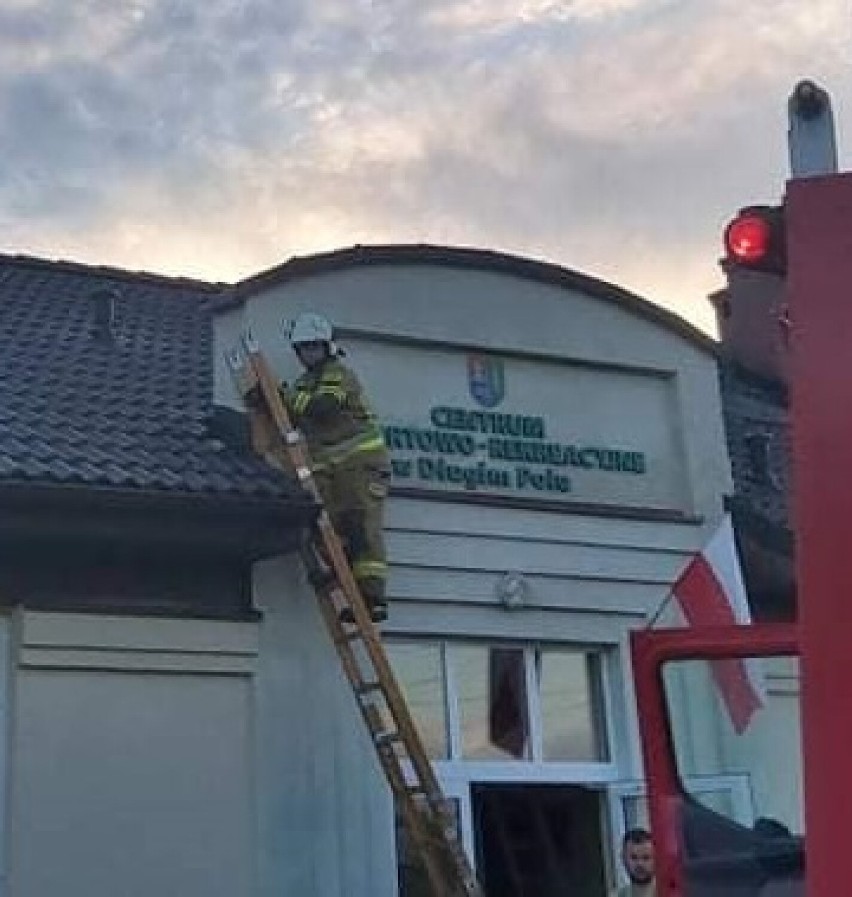 Ulewy i wichury w powiecie gdańskim. Powalone drzewa, zabezpieczenie dachu - strażacy mieli co robić |ZDJĘCIA