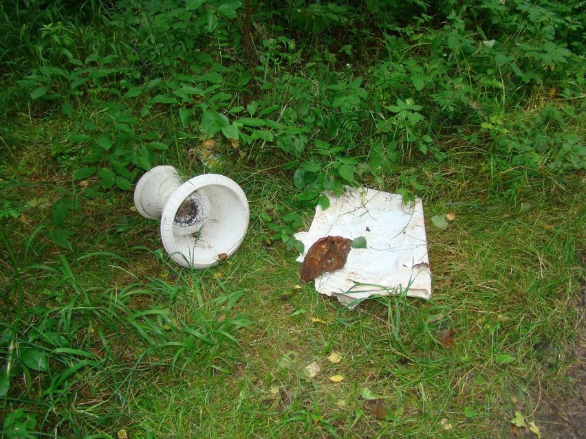 Życie po śmieciach: Pełno śmieci w lasku między Osiedlem Stałym a Szczakowską [ZDJĘCIA]