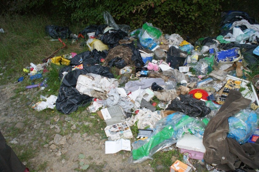 Bytom: Dzikie wysypiska śmieci. Miechowice i Żabie Doły przodują w rankingu