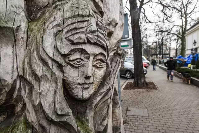 Wystarczy krótki spacer po Bydgoszczy, by przekonać się, że w naszym mieście drzewo, nawet wtedy, gdy obumiera albo zostaje powalone przez wichurę, nie kończy swojego żywota.

Najbardziej znany przykład, że drzewom można dać drugie życie, to plenery rzeźbiarskie w Myślęcinku. Od 25 lat w tym największym bydgoskim parku uczniowie szkół plastycznych z całej Polski zamieniają kawałki drewna w rzeźby albo ławki.

Część obumierających drzew stała się pięknymi rzeźbami. W przeciętych pniach ściętych drzew wydrążono półki i służą obecnie jako miejsca do bookcrossingu. 

Z drewna pochodzącego z wycinki wykonano na przykład ławki.

Więcej o drugim życiu drzew w Bydgoszczy czytaj tutaj: Drugie życie starych drzew w Bydgoszczy. Półki na książki, ławki, rzeźby [zdjęcia]


Bydgoszczanie sadzili drzewa w Myślęcinku

