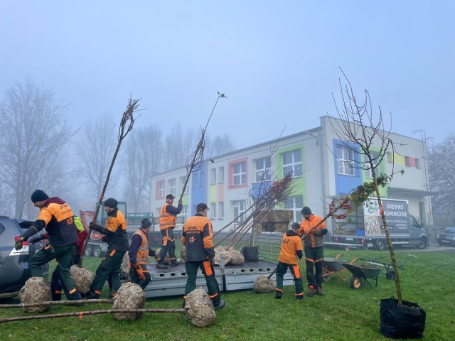 Nowe nasadzenia w miejscach wyznaczonych przez stronę społeczną.