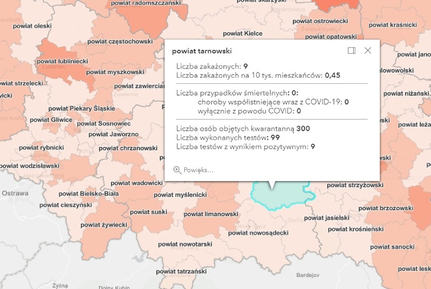 Koronawirus. Kolejne zakażenia SARS-Cov-2 w Tarnowie i powiatach: tarnowskim, brzeskim, bocheńskim i dąbrowskim [AKTUALIZACJA 24.01]